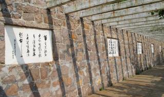 青岛华东葡萄酒庄园