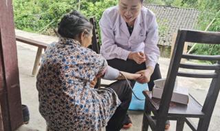 雁过留声打一最佳生肖