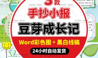 黄豆芽的生长过程观察日记