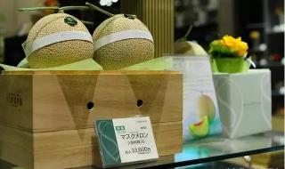 夕张王甜瓜一斤多少钱