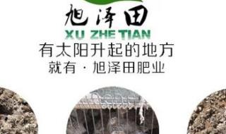 粪字是什么时候去掉田的