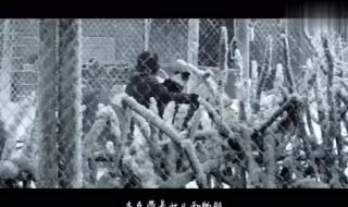 丧尸病毒爆发是哪一年