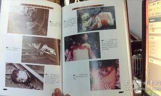 铁道损伤图谱电子版PDF