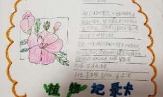 小学三年级植物记录卡