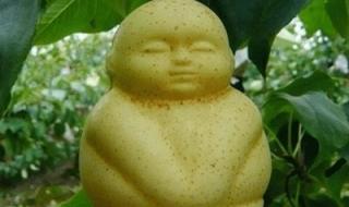 梦幻西游超级人参娃娃