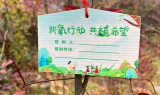 爱护花草树木的标语牌