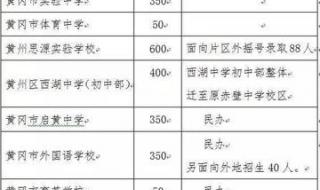 输入身份证号查学籍号