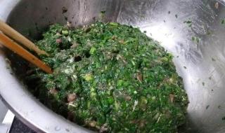 牛肉配啥菜包饺子好吃