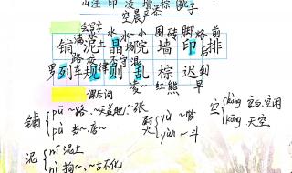 铺满金色巴掌的水泥道